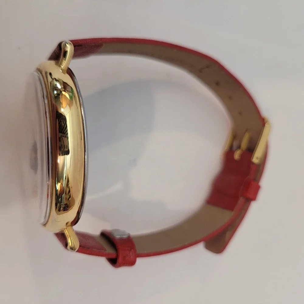 WYL Novelty Watch Womens Vintage 3D Diorama Garden No‎ Spitting Red Leather Rare